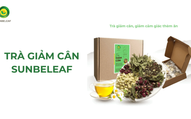 Top 5 loại trà thảo mộc hỗ trợ giảm cân tốt nhất